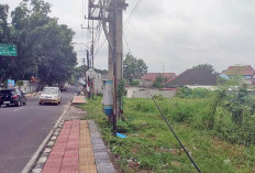 Kabel Putus di Jalan Darna Jambi Kayuagung, Warga Khawatir Risiko Kesetrum