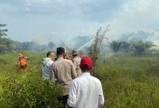 Kebakaran Hutan dan Lahan Kembali Melanda OKI, Tiga Lokasi Dilalap Api