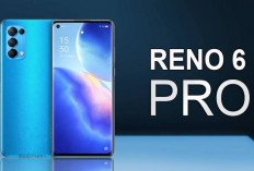 Oppo Reno6 Pro 5G: Kombinasi Desain Elegan dan Performa Unggul, Masih Worth It di Tahun 2024!