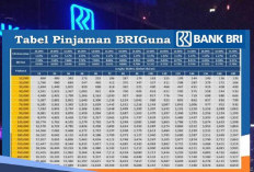 Pengajuan KUR BRI 2025 Tanpa Anjunan dan Ribet Tanpa, Solusi Modal Usaha UMKM dengan Mudah