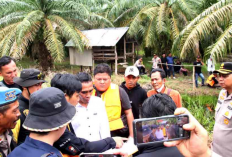 Dugaan Pembunuhan di Sungai Tepuk, Keluarga Korban Tempuh Jalur Hukum ke Bareskrim