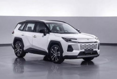 Toyota Wildlander Siap Meluncur, Kembaran RAV4 dengan Performa Unggulan! Ini Spesifikasinya