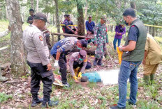 Ditemukan Tak Bernyawa, Petani di Musi Rawas Diduga Meninggal Gegara Ini