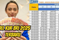 Bunga Rendah dan Proses Cepat, KUR BRI 2025 Jadi Solusi Modal UMKM: Keuntungan dan Syarat Baru 