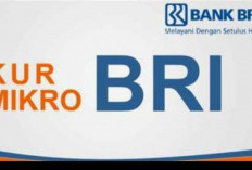 Bunga Nol Persen dan Cicilan Ringan, KUR Super Mikro BRI 2025 Cocok Buat Kamu yang Baru Mulai Usaha