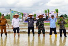 Kementan Targetkan Cetak Sawah 125.625 Hektare di OKI untuk Swasembada Pangan