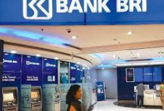 Tips Acc Pengajuan Pinjaman KUR BRI  2025,  Ini Syarat dan Tabel Cicilan Terbaru