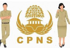 CPNS 2026 Semakin Dekat, Ini Deretan Formasi yang Disebut Akan Muncul Lagi