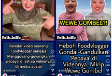 'Gundal-Gandul Pepaya', Food Vlogger Wiki Etika Dirujak Warganet 