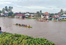 Ribuan Warga Saksikan Lomba Bidar di Pedamaran, Merayakan Kemenangan Paslon MURI