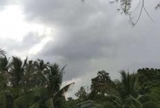 Prakiraan Cuaca Palembang 2 September 2025: Pagi Berawan, Sore Cerah, Malam Kembali Mendung