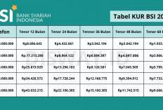Tanpa Perlu Ke Bank! Ini Cara Daftar KUR BSI 2025 Anti Ribet Secara Online