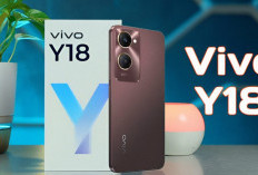 Vivo Y18: Hp Harga Rp 1 Jutaan dengan Performa Layak Smartphone Kelas Atas, Layak untuk Dimiliki Tahun Ini!