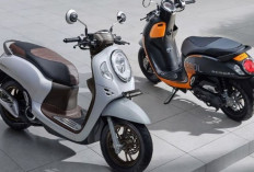 Honda New Scoopy Promo Akhir Tahun: Kredit Ringan, Desain Keren, dan Potongan Tenor yang Menguntungkan!