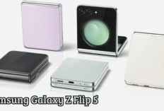 Spesifikasi Samsung Galaxy Z Flip 5, Ponsel Lipat Performa Gesit Dibekali Chipset Qualcomm Snapdragon 8 Gen 2