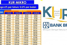 KUR BRI 2025 Kembali Dibuka, UMKM Bisa Dapat Modal Hingga Rp500 Juta dengan Bunga Ringan
