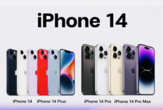  Buruan Cek Harga Terbaru iPhone 14 Per Juli 2024 di iBox, Masih Worth It?  