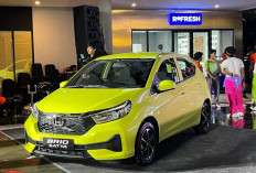 Honda Brio Satya 2024 Hadir dengan 7 Varian, Cek Harga dan Spesifikasi Terbaru!