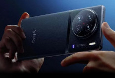 Review Kamera vivo X100 Ultra: Mode Makro,Telefoto Punya Algoritma AI Lagi!