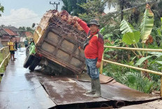 Jembatan Desa Bumi Agung Rusak Parah, Akibat Sering Dilalui Truk Kelapa Sawit 