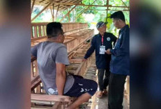 Dukung Ketahanan Pangan, Kecamatan SPP Kembangkan Bibit Ayam Petelur