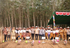 Pj Bupati OKI dan Kapolres Tanam Jagung, Dorong Realisasi Swasembada Pangan 2025