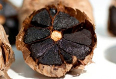Manfaat Besar Black Garlic, Superfood Tinggi Antioksidan yang Mampu Atasi Gangguan Kesehatan