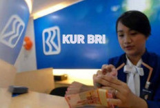 Mau Usaha Lancar di 2025? Intip Simulasi Kredit KUR BRI Rp25 Juta dan Cara Mengajukannya