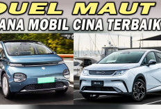 Top 2 Mobil Listrik BYD Dolphin vs Wuling Cloud EV, Performa Mana yang Lebih Unggul?  