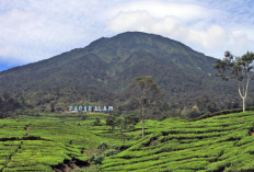 Jalur Pendakian Gunung Dempo Ditutup Sementara Pasca Erupsi 200 Meter