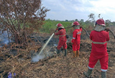 Upaya Pemadaman Karhutla di Kabupaten OKI, Fokus pada Pendinginan Lahan Gambut