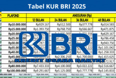 Resmi Dibuka! Inilah Syarat dan Tabel Pinjaman KUR BRI 2025, Bunga Terjangkau untuk Pelaku UMKM