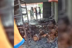 Toko Manisan di Lempuing Ludes Terbakar, Kerugian Ditaksir Rp100 Juta