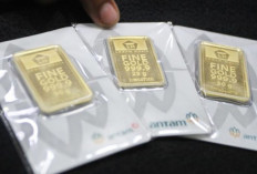 Harga Emas Antam Hari Ini Naik, Melejit Rp 8 Ribu, Ukuran 0,5 Gram Tembus di Rp 1,2 Juta