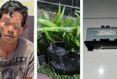 Bobol Rumah Tetangga, Pria di Ogan Ilir Diringkus Polisi Usai Coba Kabur