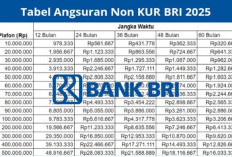 Solusi Modal Usaha KUR BRI 2025:  Angsuran Rp50 Juta dalam 2 Tahun dengan Bunga Hanya 6 Persen Per Tahun