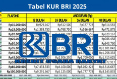 Panduan Lengkap Top-Up KUR BRI 2025, Cek Syarat dan Prosedurnya!
