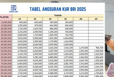 Cara Daftar KUR BRI 2025 Secara Offline, Pinjaman Cair Hingga Angsuran 200 Juta