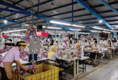 Nah Loh! Gaji Pekerja Swasta Bakal Dipotong 3% untuk Iuran Tapera, Ini Manfaatnya Menurut Jokowi