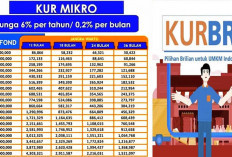 Ajukan KUR BRI 2024 Sekarang, Plafon Tembus Hingga Rp500 Juta, Begini Caranya