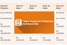 Mau Ajukan KUR BNI 2025? Ini Simulasi Angsuran dan Persyaratan Mudah untuk UMKM