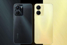 Harga Turun, Vivo Y16 Kini Dibanderol Rp1,4 Jutaan: Rekomendasi HP Baru Fitur Lengkap dan Tahan Cipratan Air