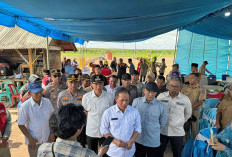 Menteri Lingkungan Hidup Tinjau Percontohan Lahan Tanpa Bakar di Air Sugihan OKI