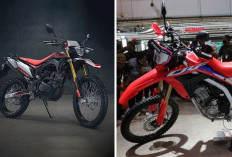 Harga Motor Trail Honda Januari 2025, Varian Tipe CRF150L dan CRF250L 