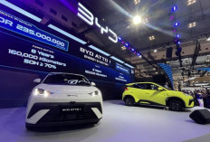 BYD Atto 1 Premium Bikin Heboh! Ini Spesifikasi dan Harga Varian Tertingginya