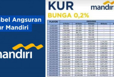 KUR Mandiri 2024! Pinjaman hingga Rp100 Juta dengan Cicilan Ringan Mulai Rp1 Jutaan