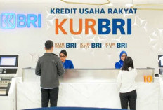 Ingin Modal Usaha? Ini Keuntungan Ajukan KUR BRI 2025, Tanpa Agunan Tambahan!