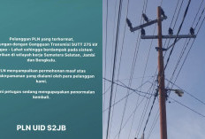 Gangguan Transmisi SUTT 275 kV Linggau-Lahat, Penyebab Listrik Padam di Seluruh Sumsel, Jambi, Hingga Bengkulu