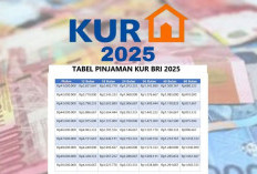 Program KUR BRI 2025 Hadir dengan Cicilan Ringan dan Suku Bunga Rendah Solusi Pembiayaan Terjangkau untuk UMKM