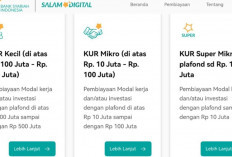 Mudah dan Cepat! Cara Ajukan Pinjaman KUR BSI untuk Modal Usaha Tanpa Biaya Admin